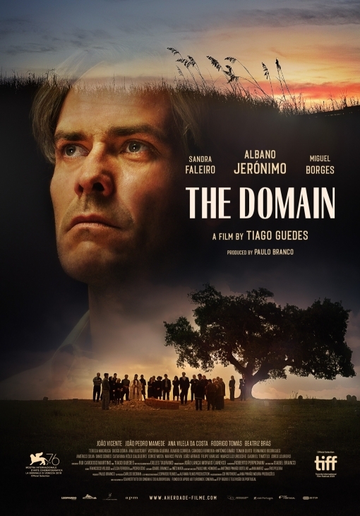 The Domain