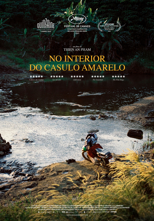 Inside the Yellow Cocoon Shell