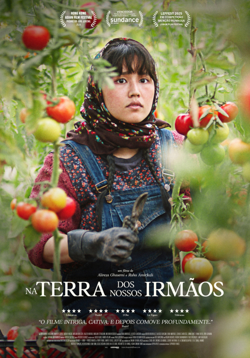 In the Land of Brothers