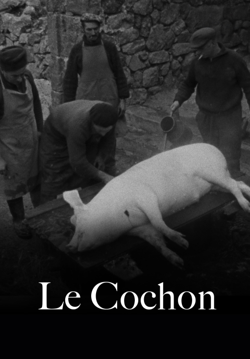 Le Cochon