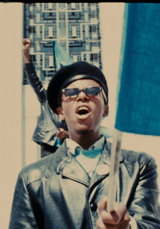 Black Panthers